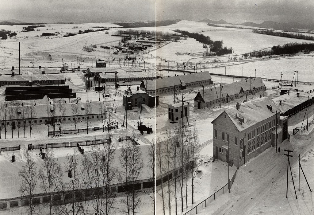 Животноводческий комплекс Краснореченского совхоза. Хабаровск, 1976 год